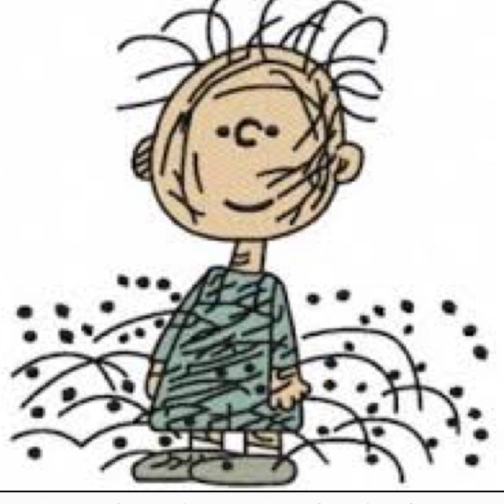 No Pig Pen Closet!